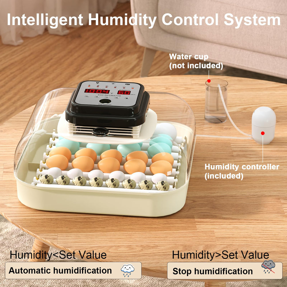 CoInceptus adjustable rollers holding mixed egg sizes to maximize capacity