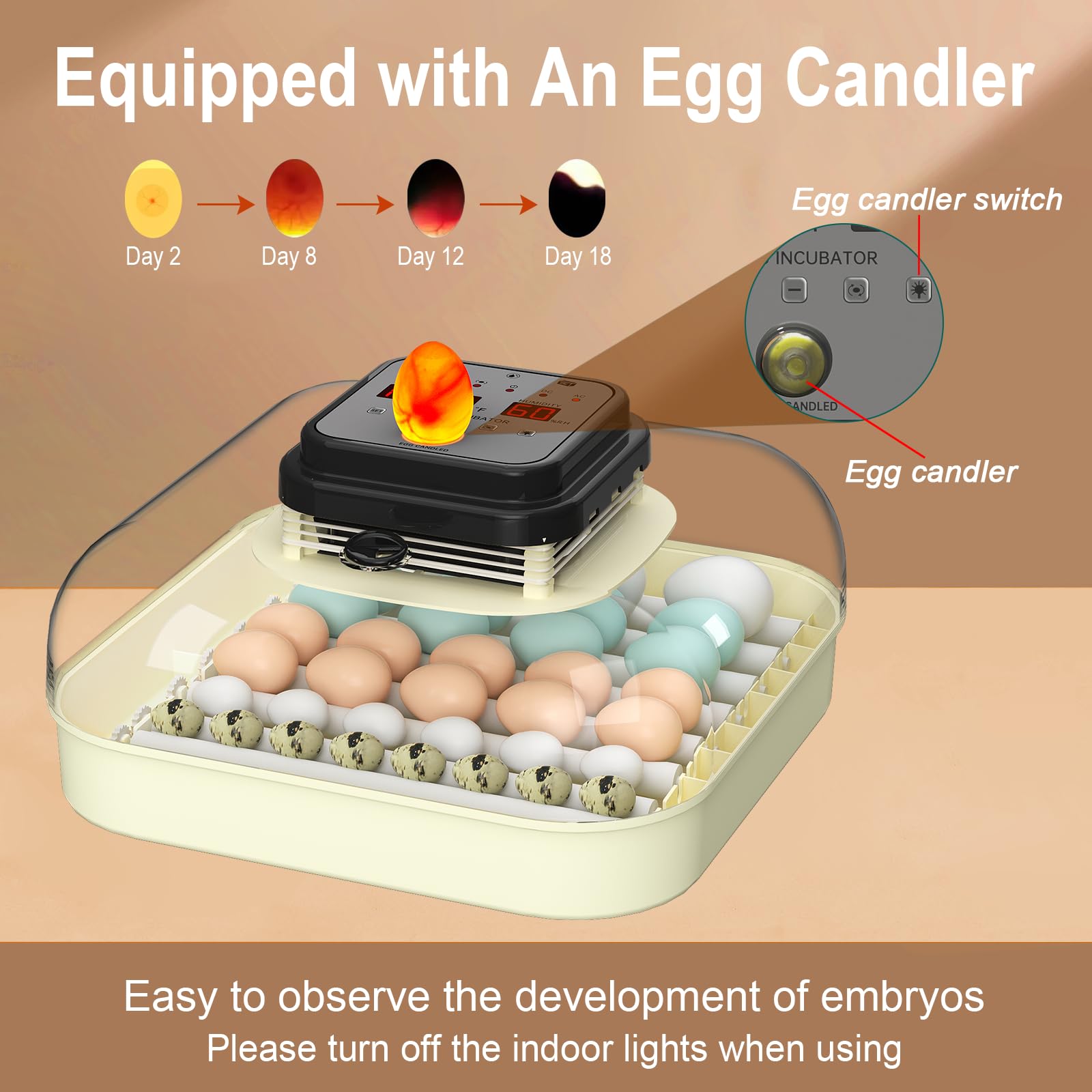 CoInceptus incubator in use with eggs demonstrating hands-off hatching