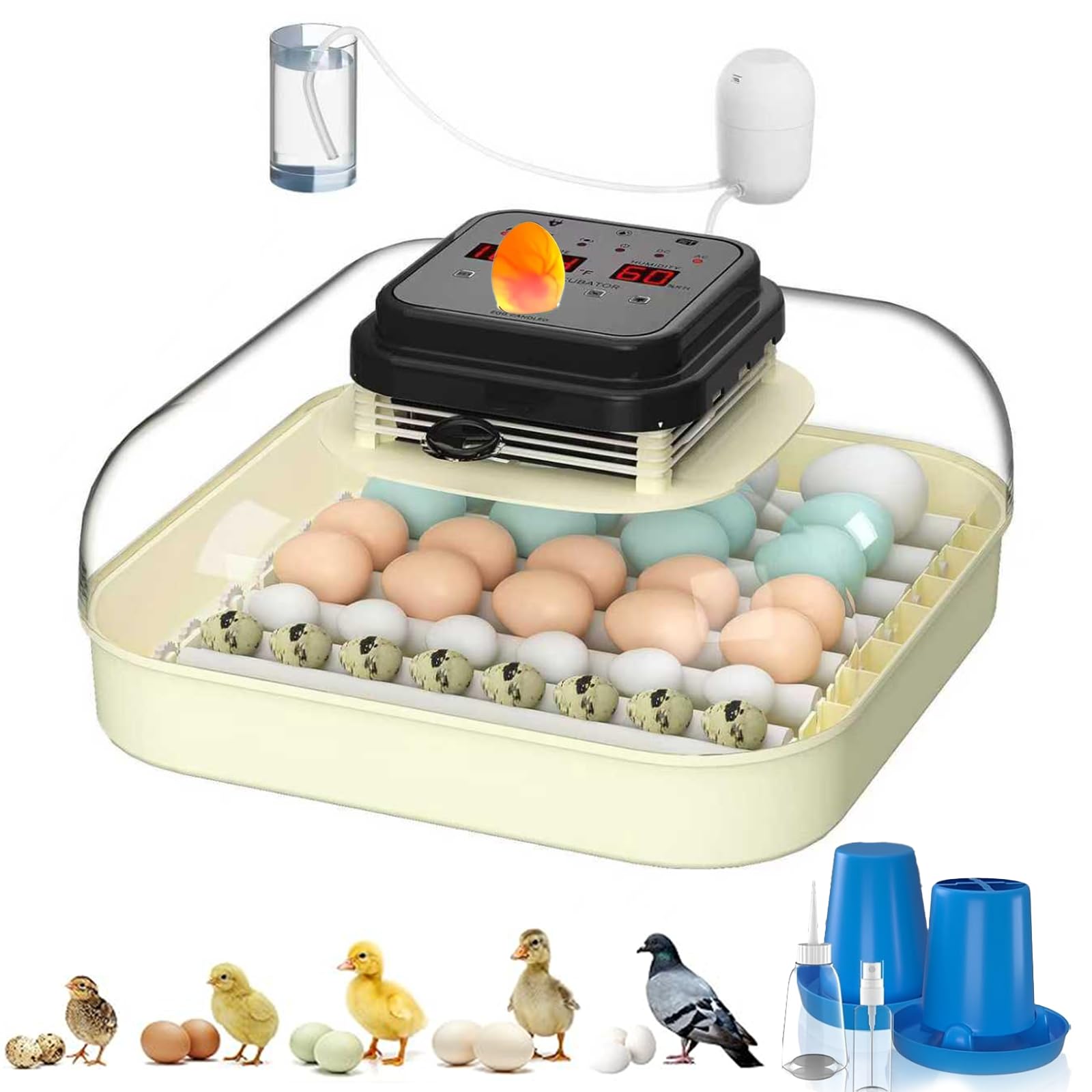 CoInceptus front view showing compact incubator and benefits of stable hatching