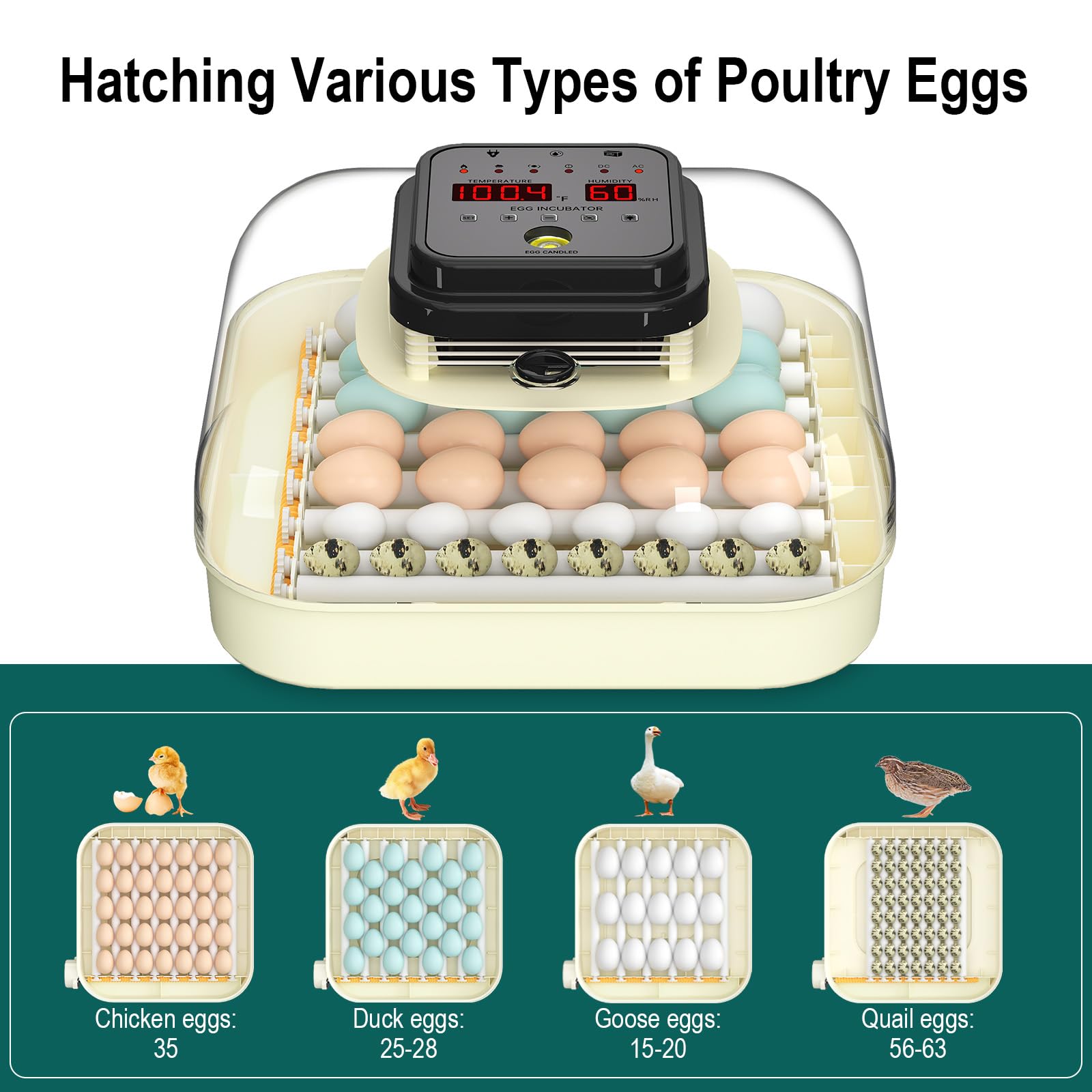 CoInceptus automatic turning mechanism ensuring consistent egg movement