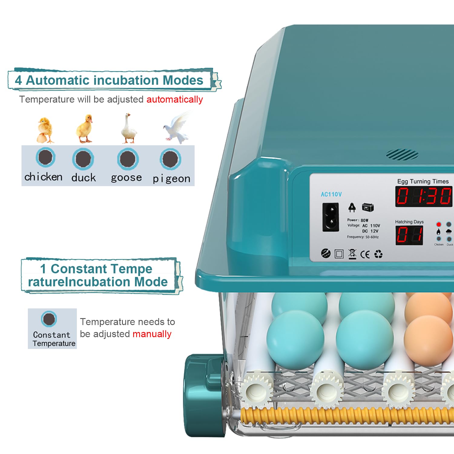 CoInceptus control panel display with buttons and day counter for clear monitoring