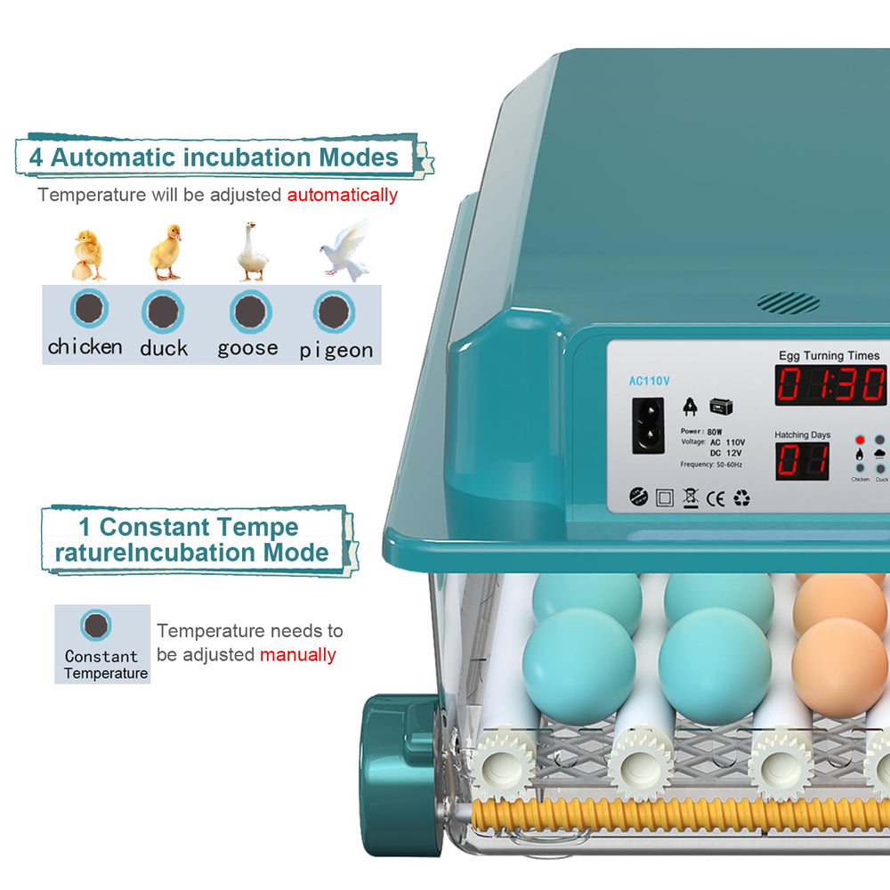 CoInceptus control panel display with buttons and day counter for clear monitoring