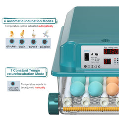 CoInceptus control panel display with buttons and day counter for clear monitoring