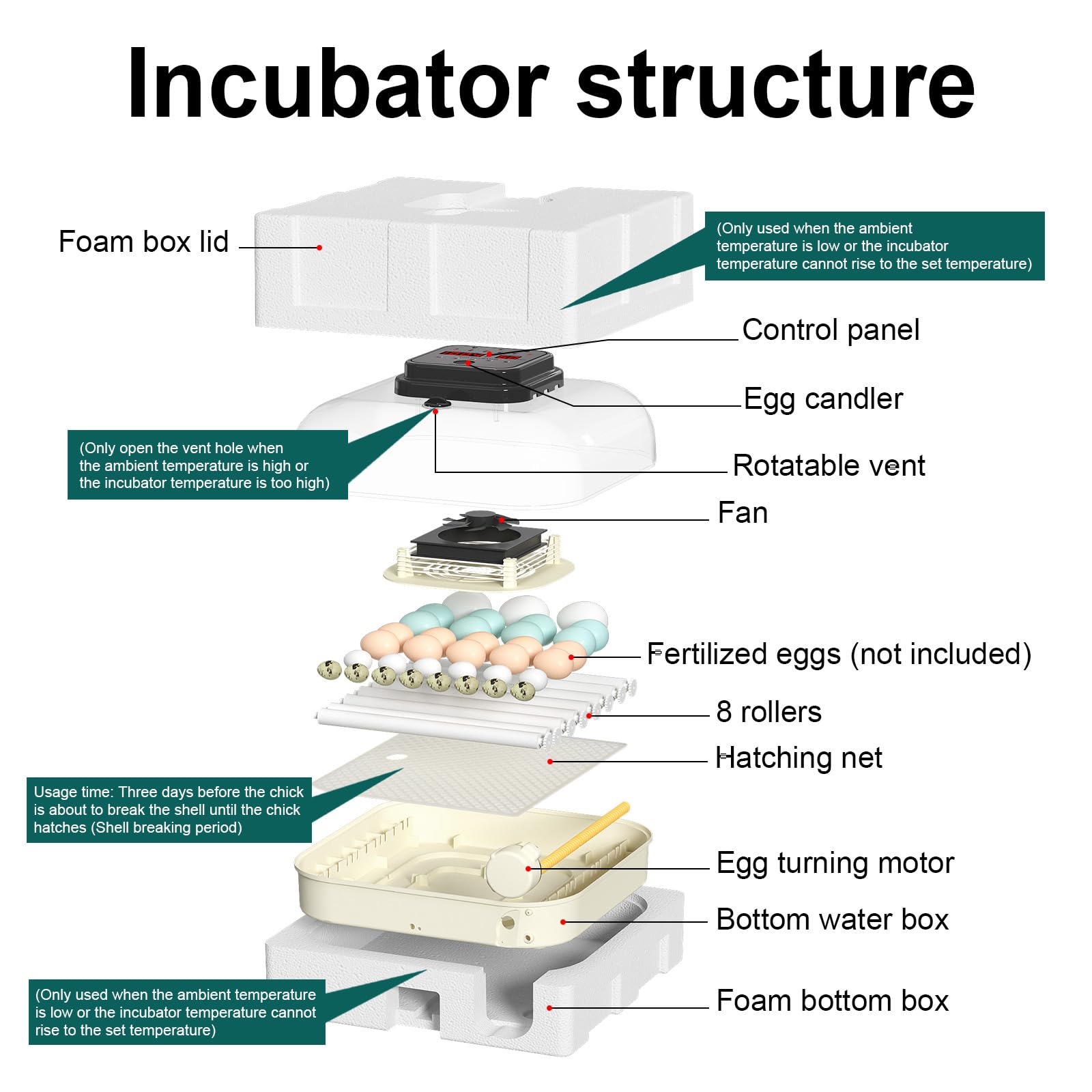 CoInceptus built-in egg candler in use for visible embryo inspection