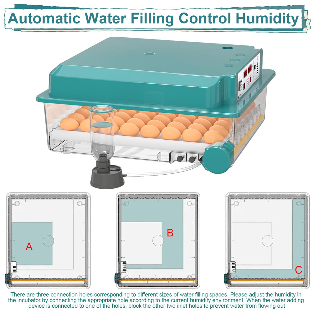 CoInceptus built-in egg candler and viewing window for non-invasive embryo checks