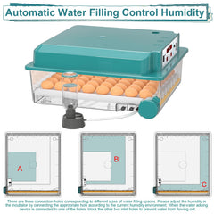 CoInceptus built-in egg candler and viewing window for non-invasive embryo checks