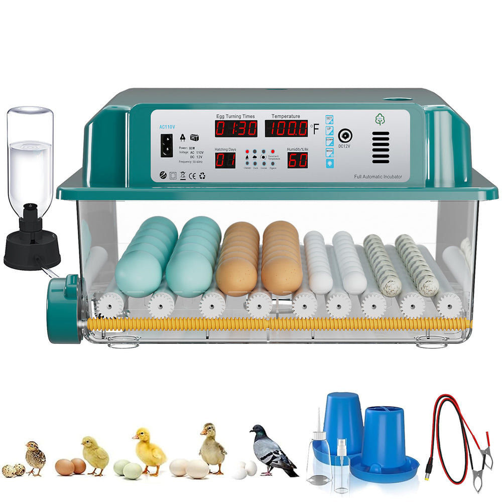 CoInceptus front view showing closed incubator and organized egg layout for easy access
