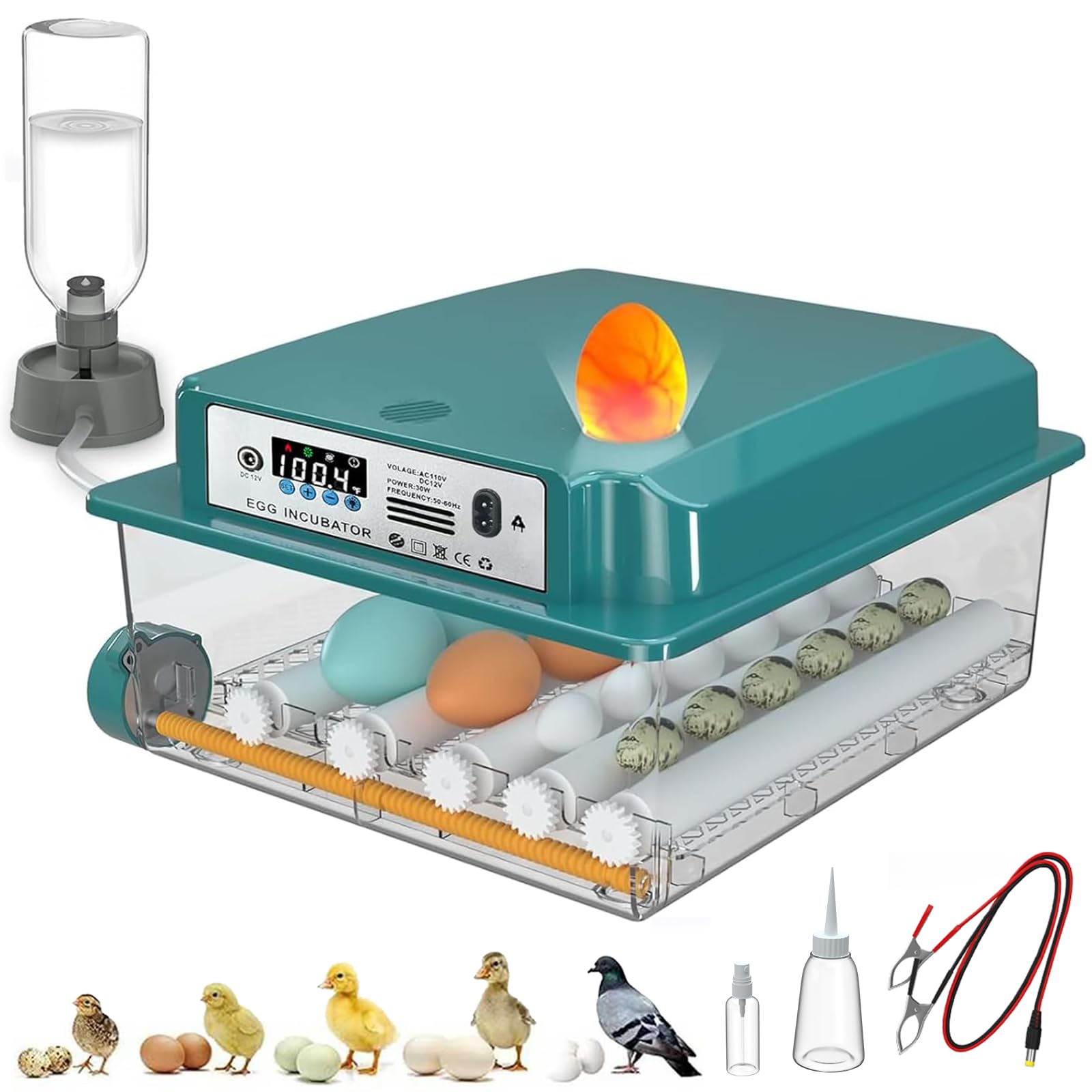 CoInceptus front view showing compact incubator and clear lid for easy monitoring