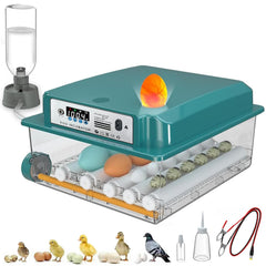 CoInceptus front view showing compact incubator and clear lid for easy monitoring