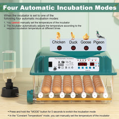 CoInceptus adjustable roller detail demonstrating secure egg spacing and gentle turning benefit