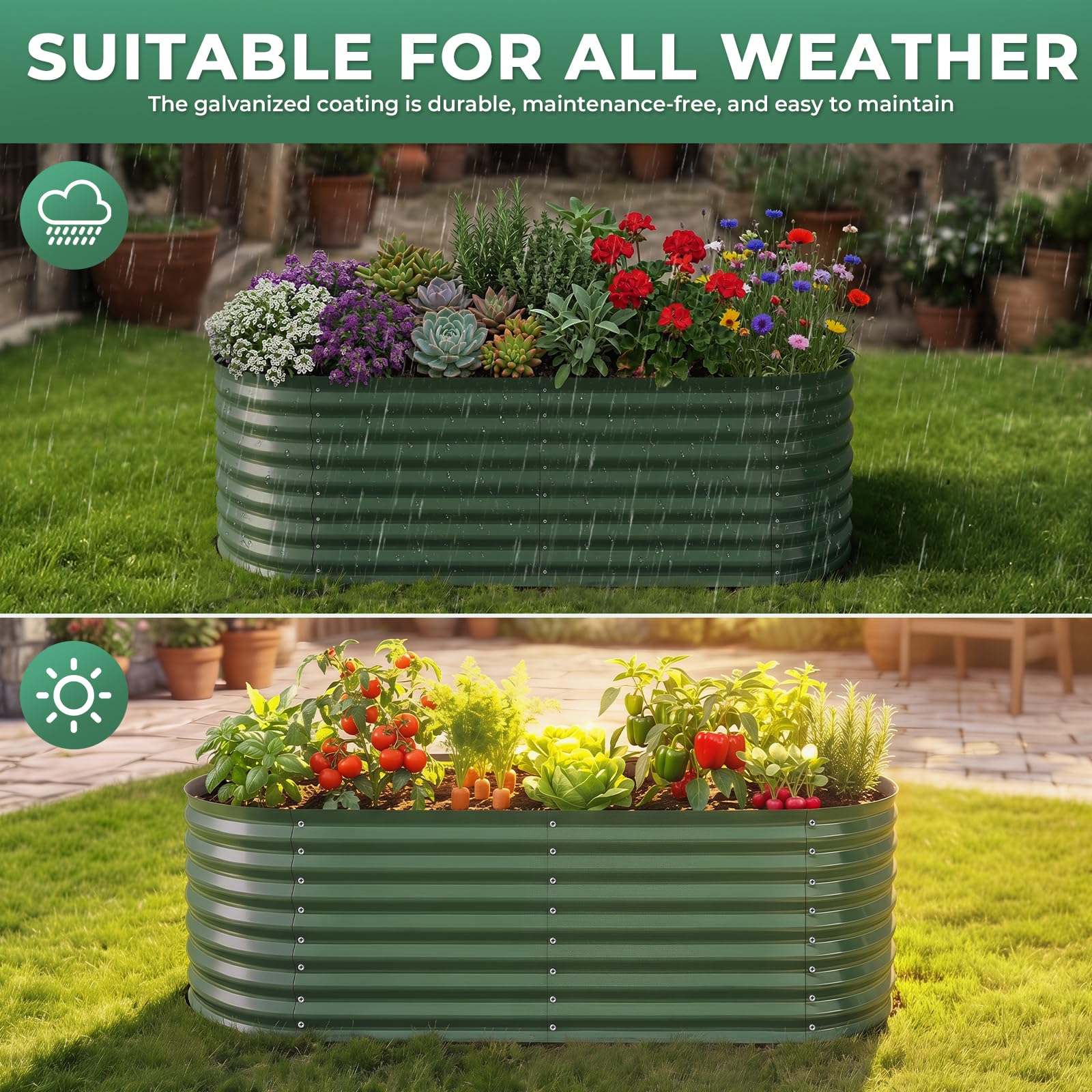 Colaeynoe label and forest green finish detail showing quality coating