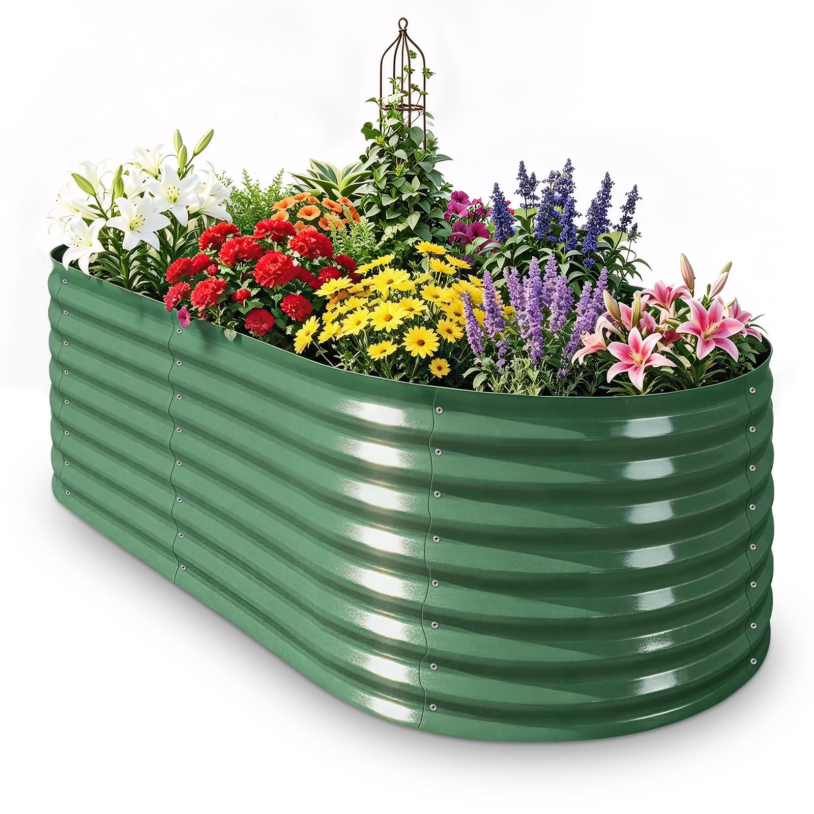 Colaeynoe front view of oval raised bed showing compact garden space and durability