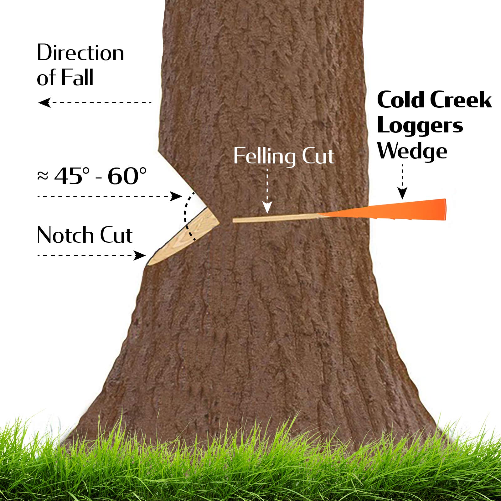 Cold Creek Loggers wedge beside hammer and chainsaw showing size scale for correct tool selection