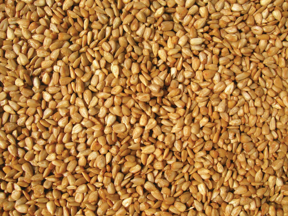 COLE'S THE BETTER WILD BIRD FEED close-up of whole-kernel sunflower meats texture and quality