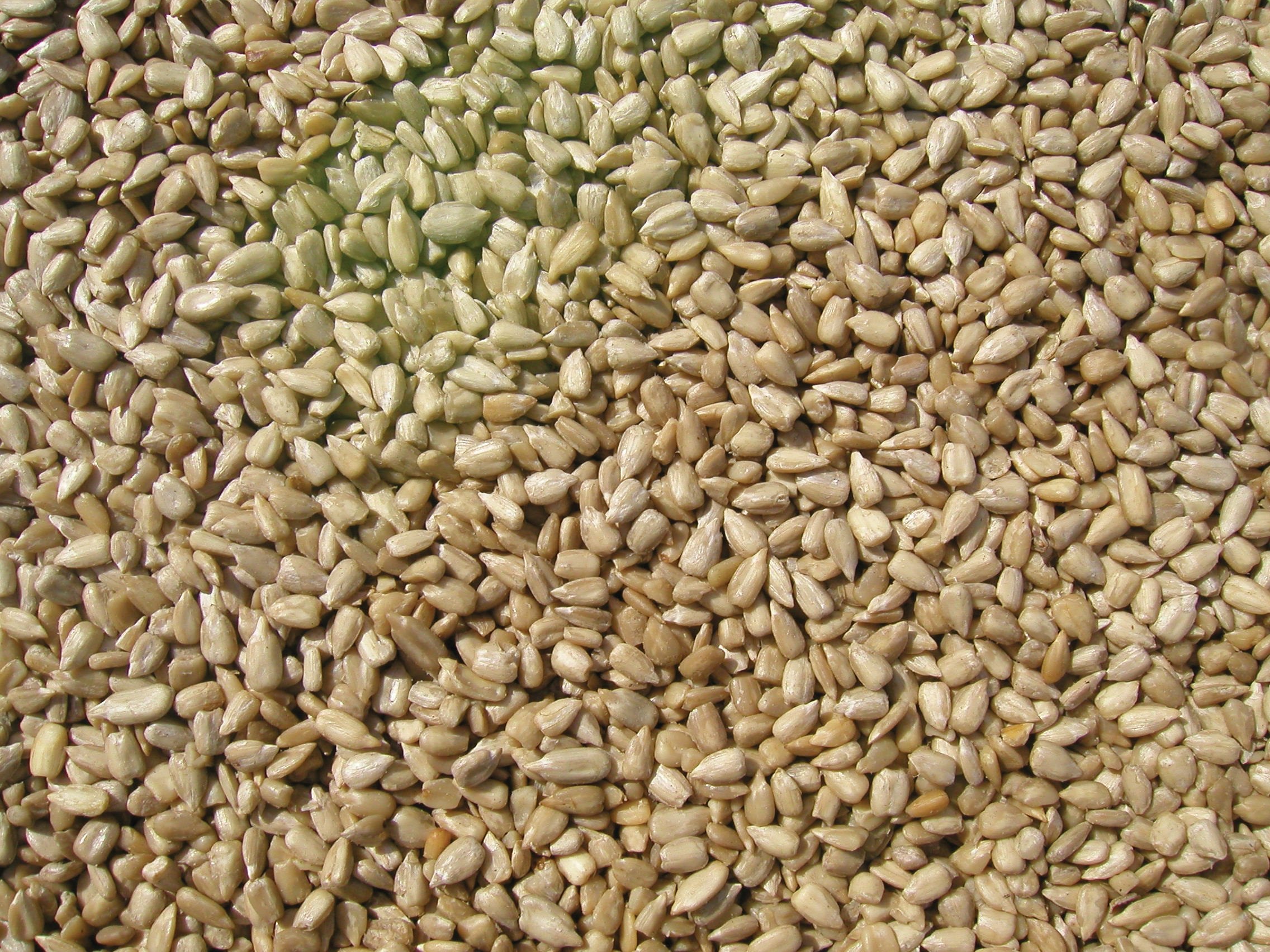 COLE'S closeup of sunflower kernels showing high edible yield benefit