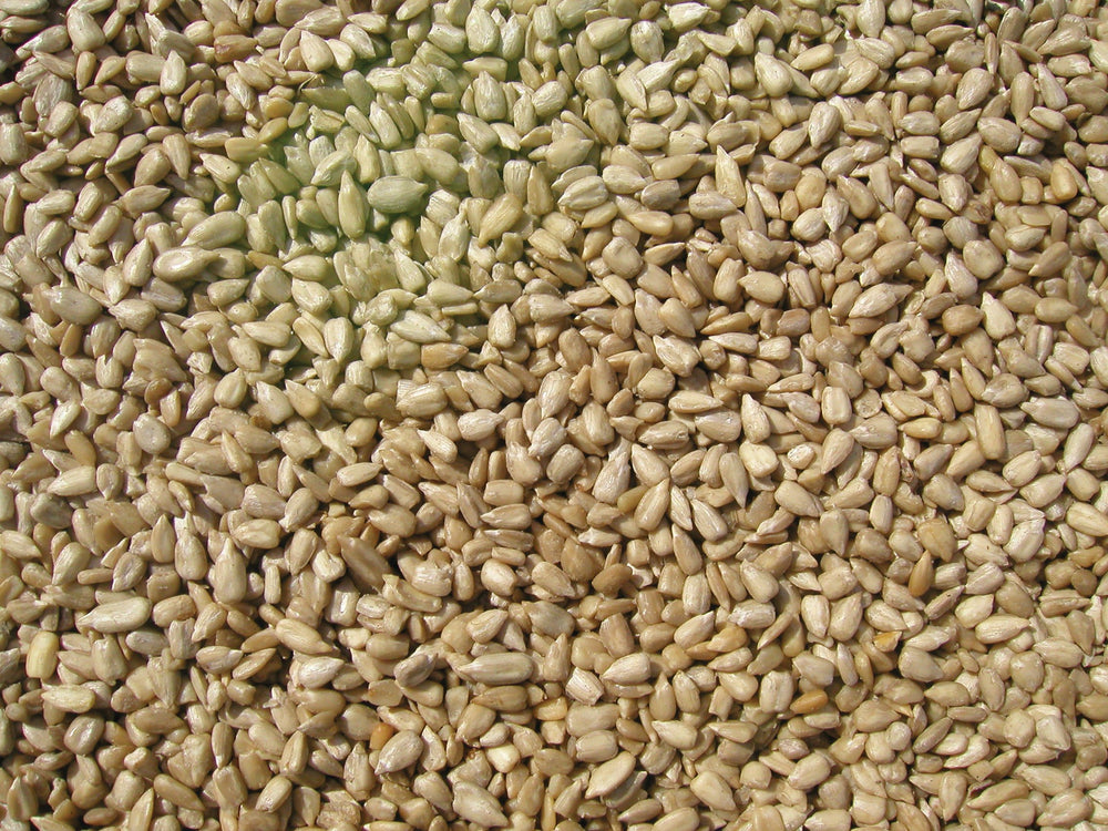 COLE'S closeup of sunflower kernels showing high edible yield benefit