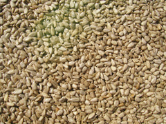 COLE'S closeup of sunflower kernels showing high edible yield benefit
