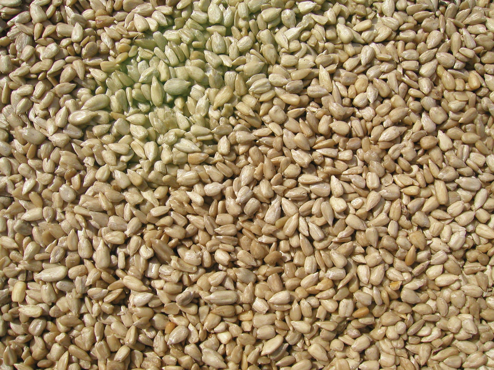 COLE'S close-up of shelled sunflower kernels showing high edible yield