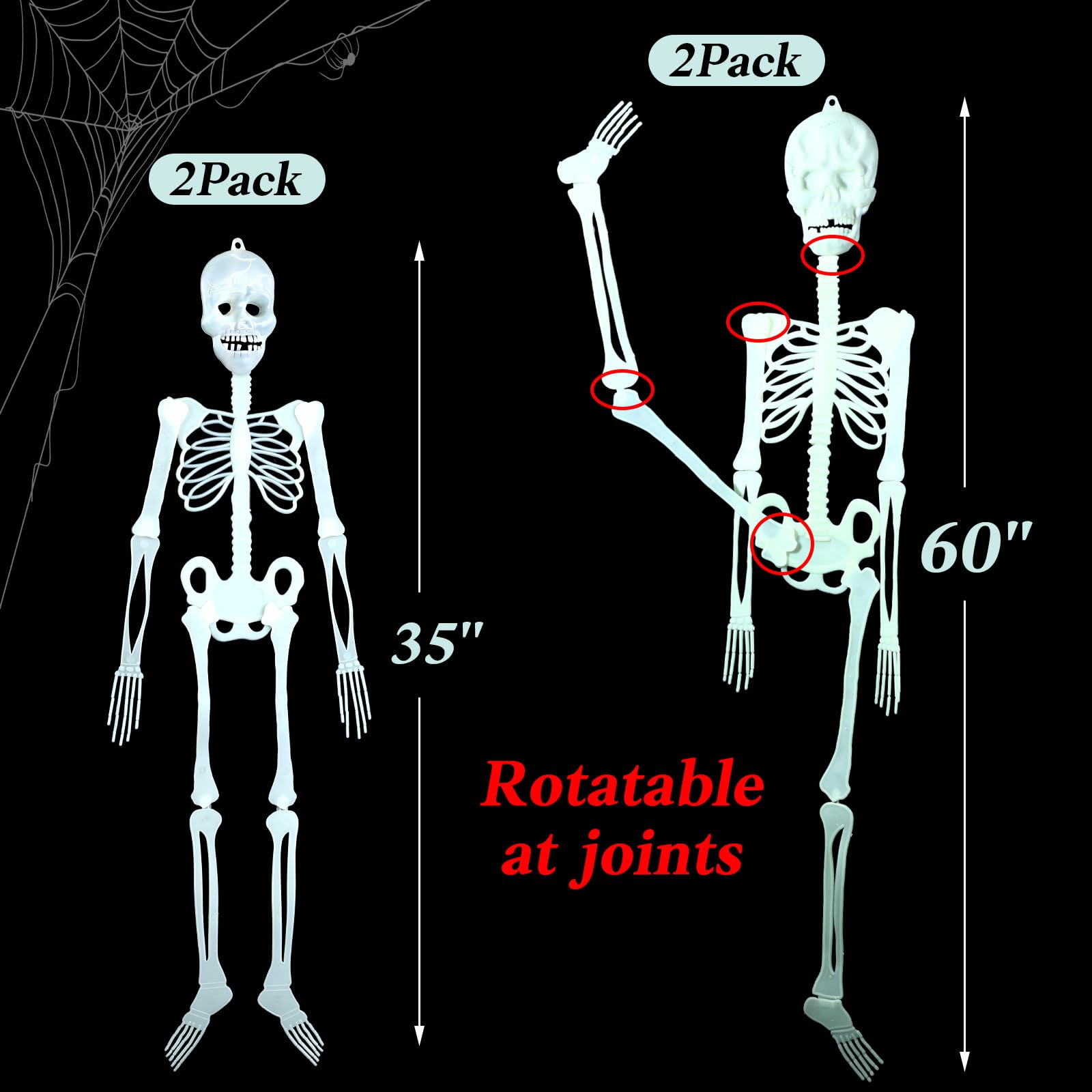 Colingmill close-up of a skeleton joint illustrating easy posing benefit
