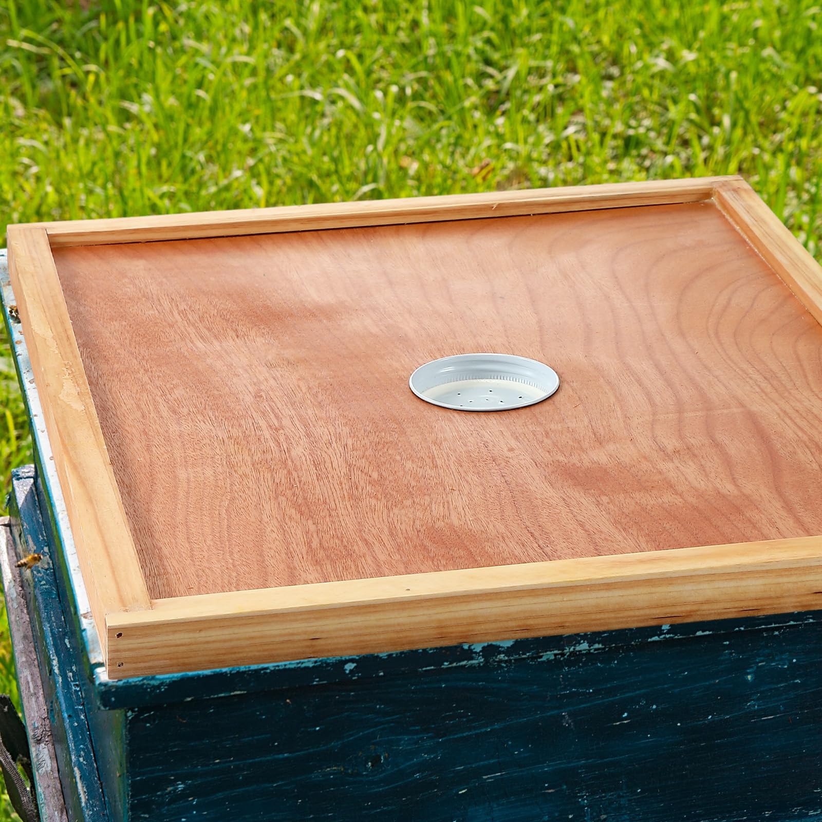 Colingmill lifestyle apiary hive row showing durable accessories improving routine management