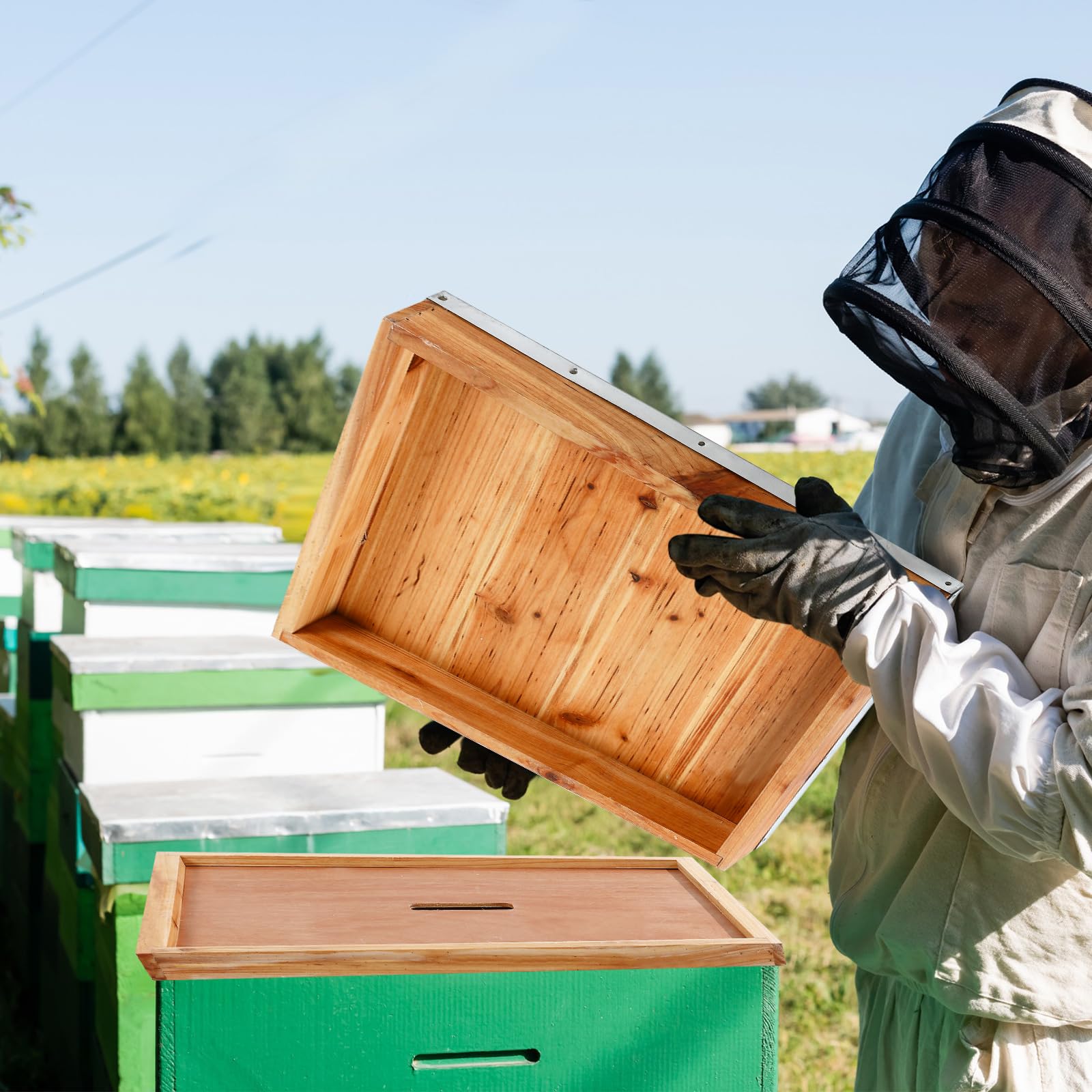 Colingmill covers on backyard hives in an apiary emphasizing durable seasonal protection