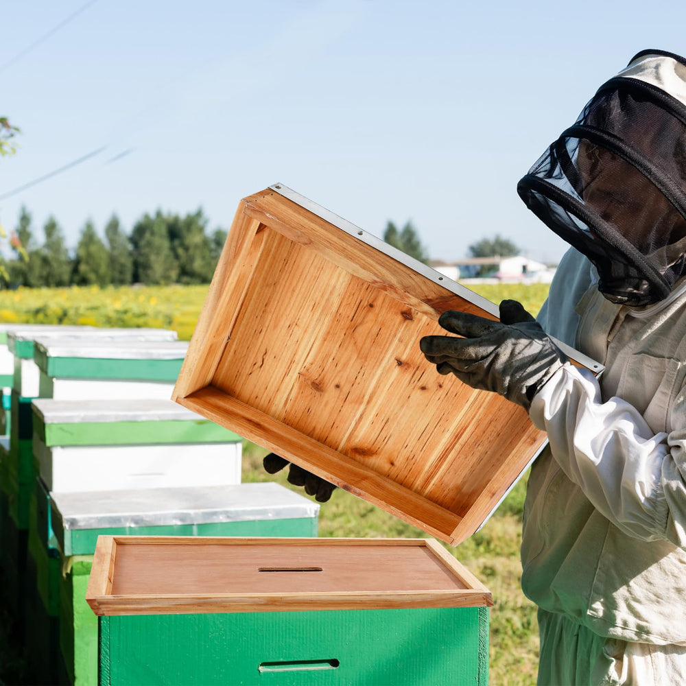 Colingmill covers on backyard hives in an apiary emphasizing durable seasonal protection
