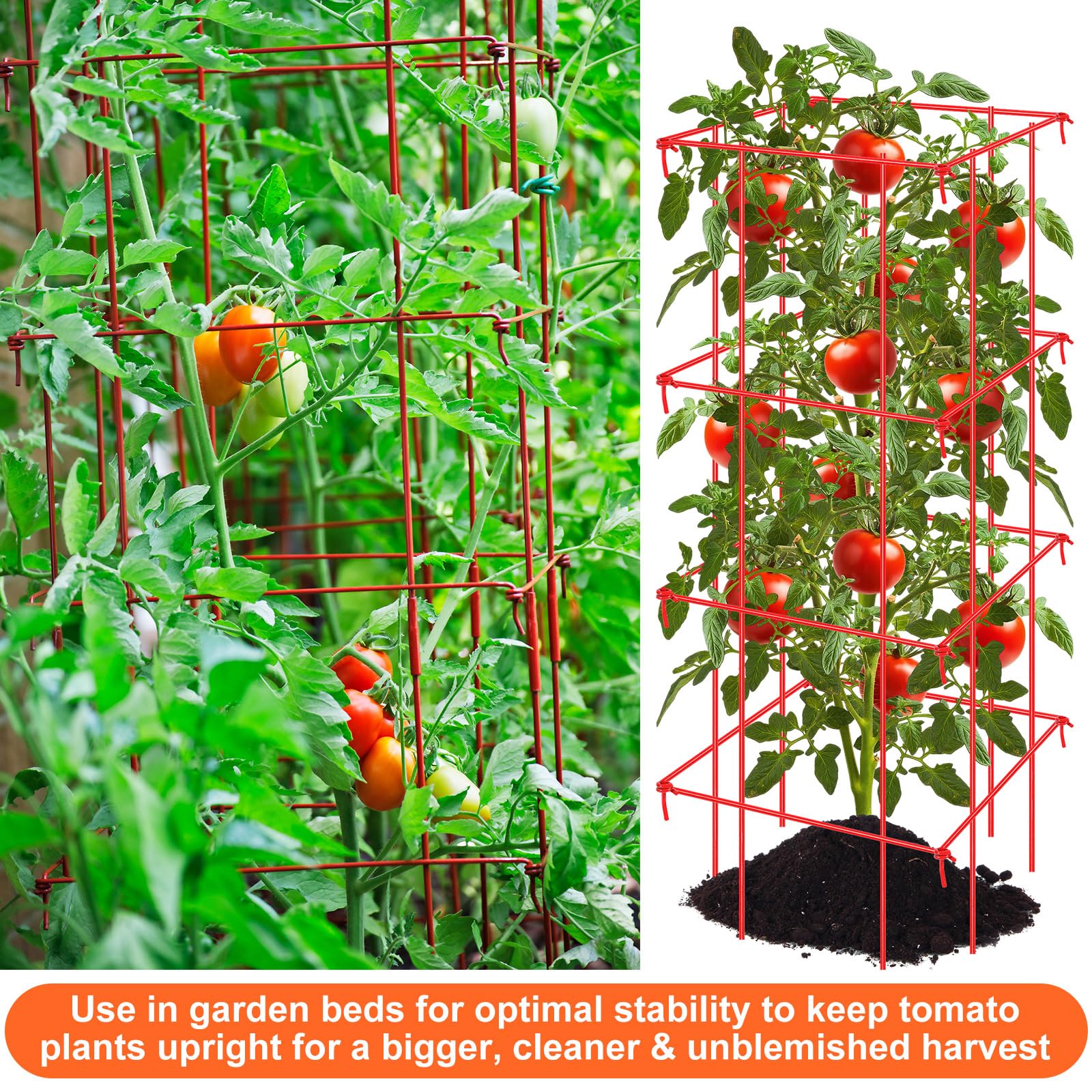 Colingmill lifestyle shot of gardener harvesting tomatoes showing easier picking