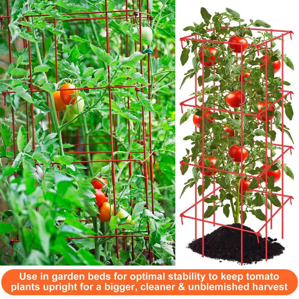 Colingmill lifestyle shot of gardener harvesting tomatoes showing easier picking