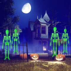 Colingmill two skeletons side-by-side showing 60-inch and 35-inch scale benefit