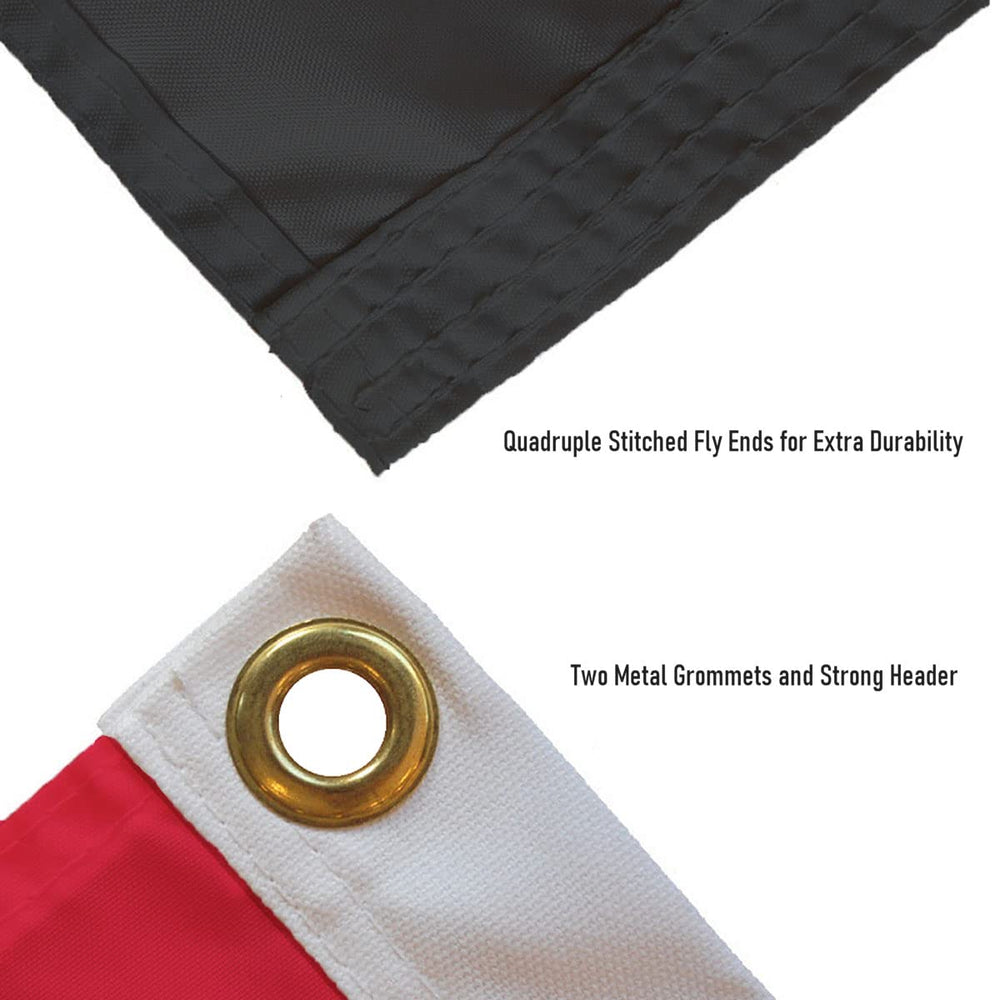 College Flags & Banners Co. 3x5 scale comparison showing flag size against a standard door