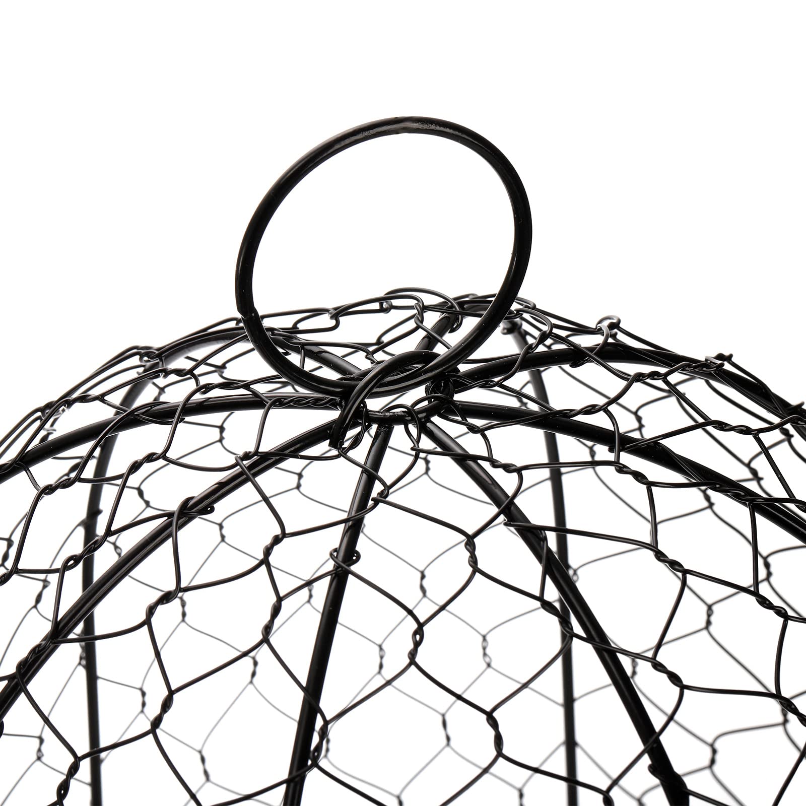 Coloch cloche in use over potted plant keeping animals away