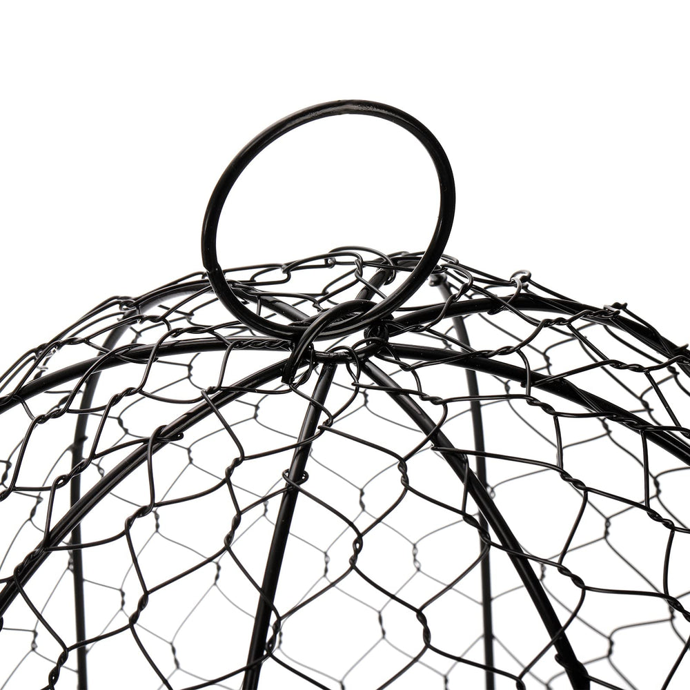 Coloch cloche in use over potted plant keeping animals away