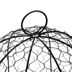 Coloch cloche in use over potted plant keeping animals away