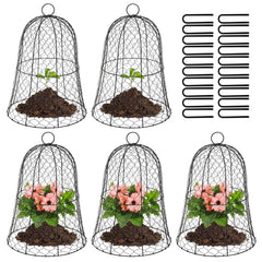 Coloch front view black dome cloche protecting seedling and saving time