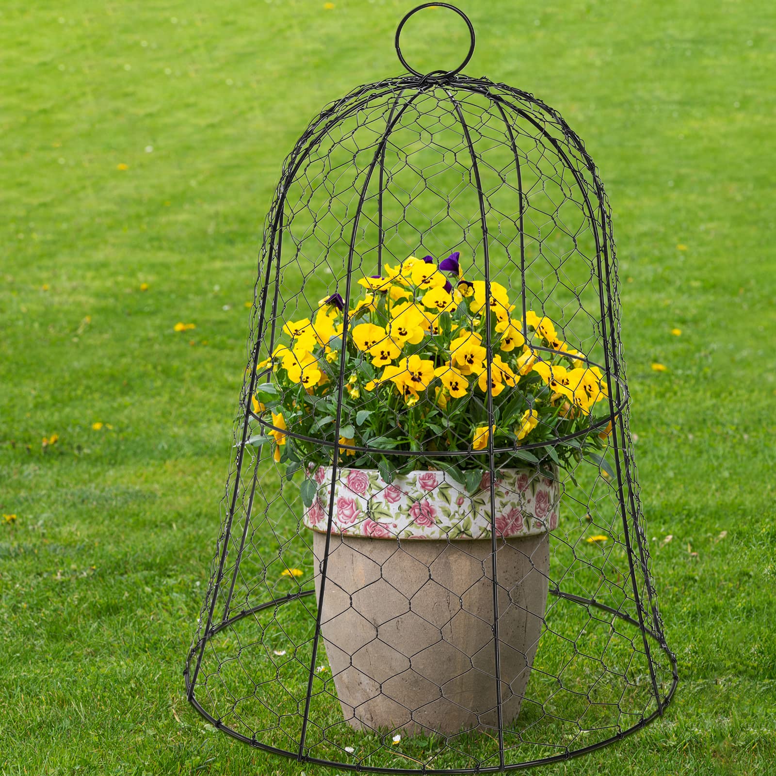 Coloch lifestyle garden row protected plants reducing pest damage