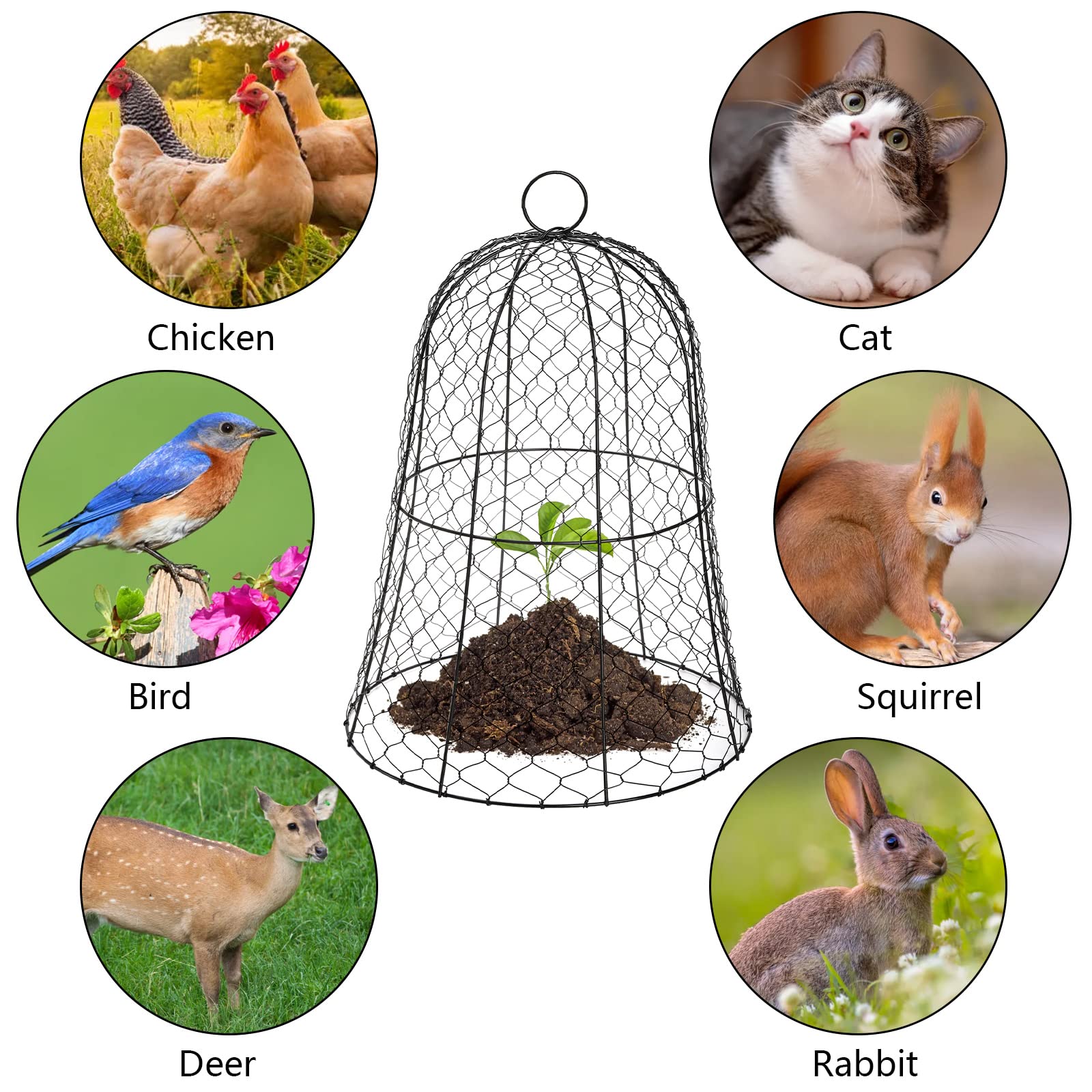 Coloch staples anchoring cloche in soil for stable outdoor protection