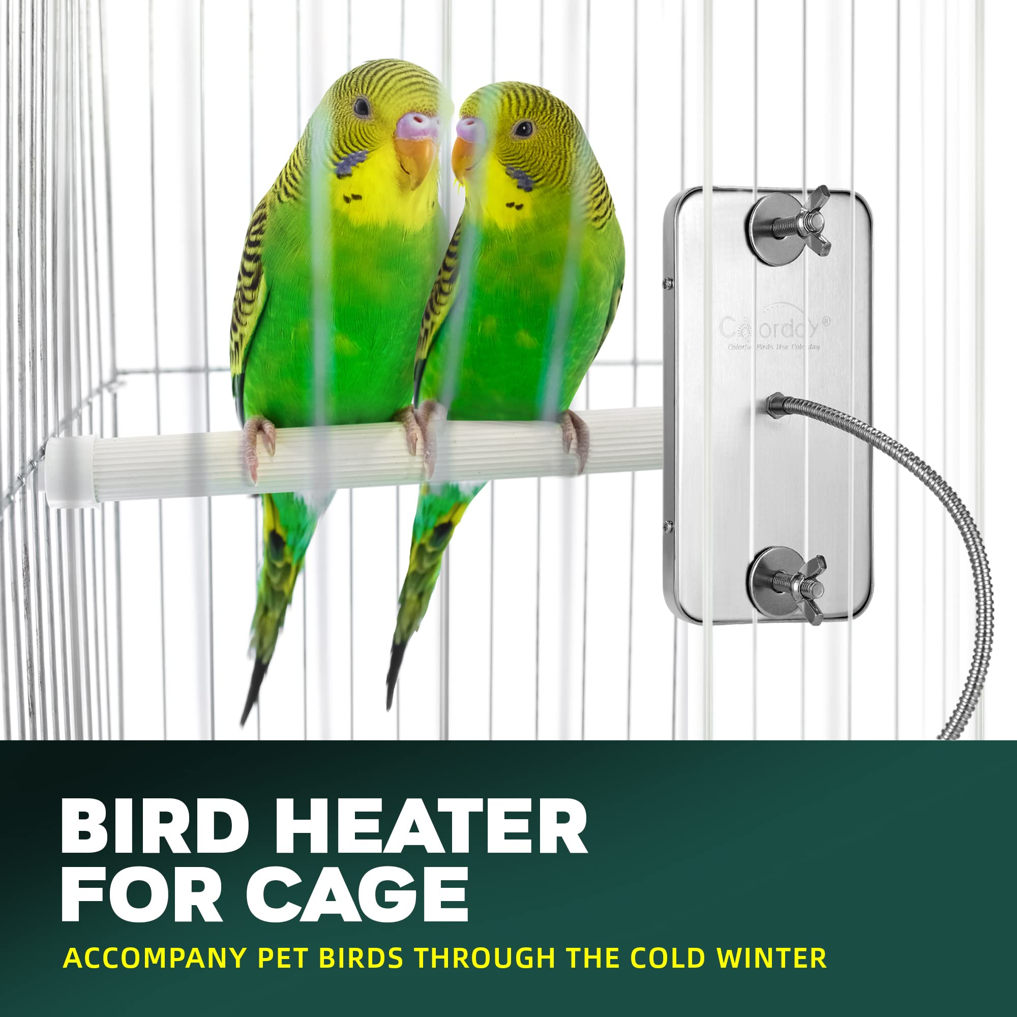 Colorday lifestyle bedroom nighttime cage warmth providing cozy bird perch