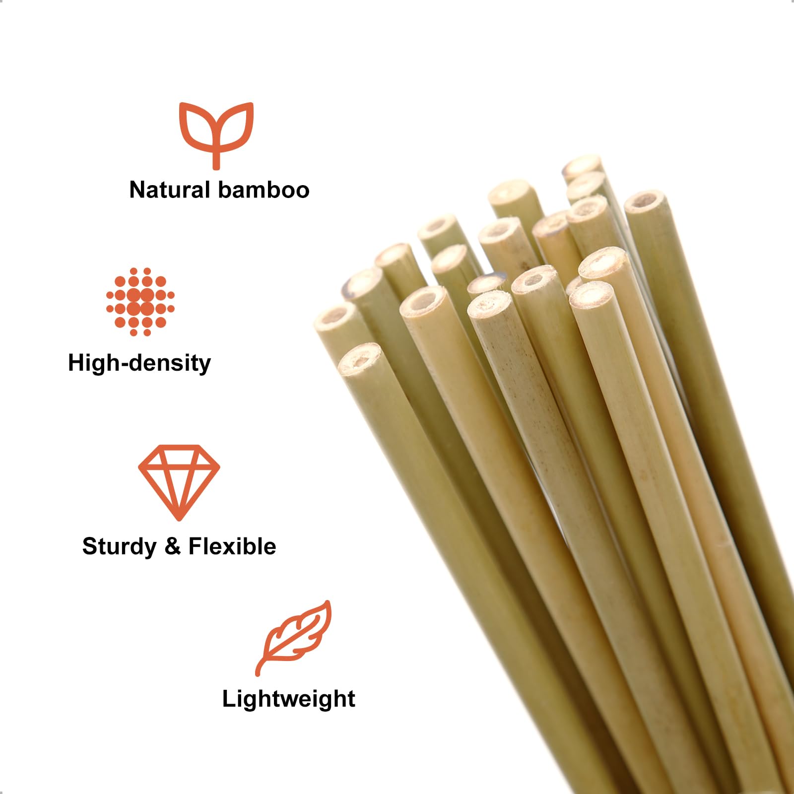 COLOtime close-up of bamboo pole texture showing heat-treated strength and straightness