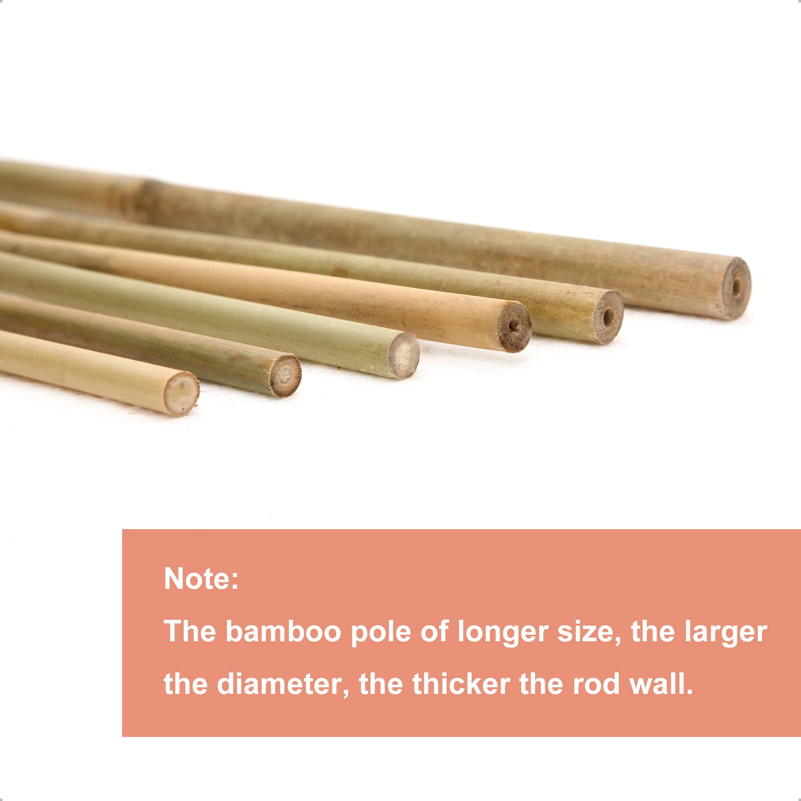 COLOtime bamboo stakes cut to different lengths to demonstrate customization options