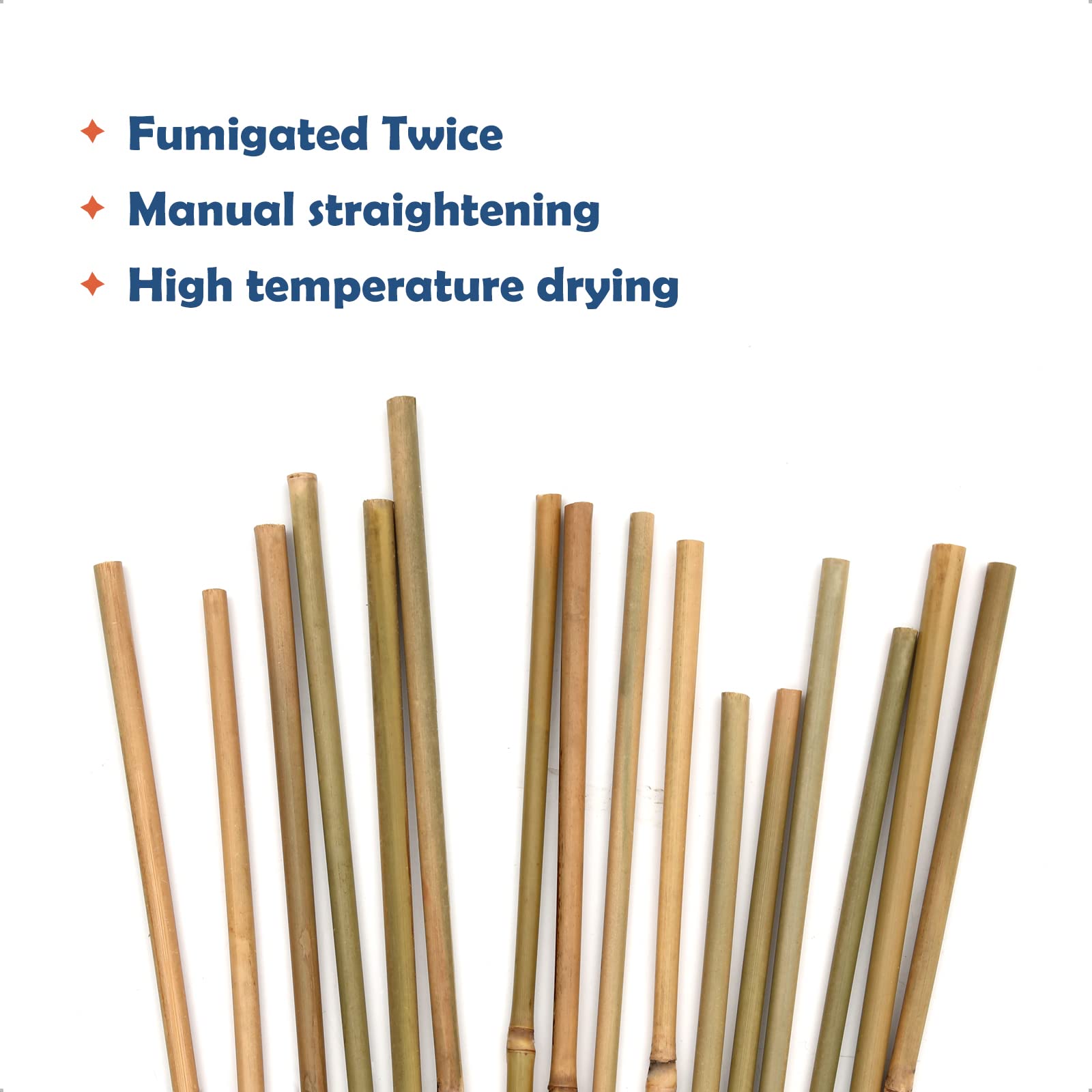 COLOtime stake inserted in garden soil supporting climbing plant, steady plant support