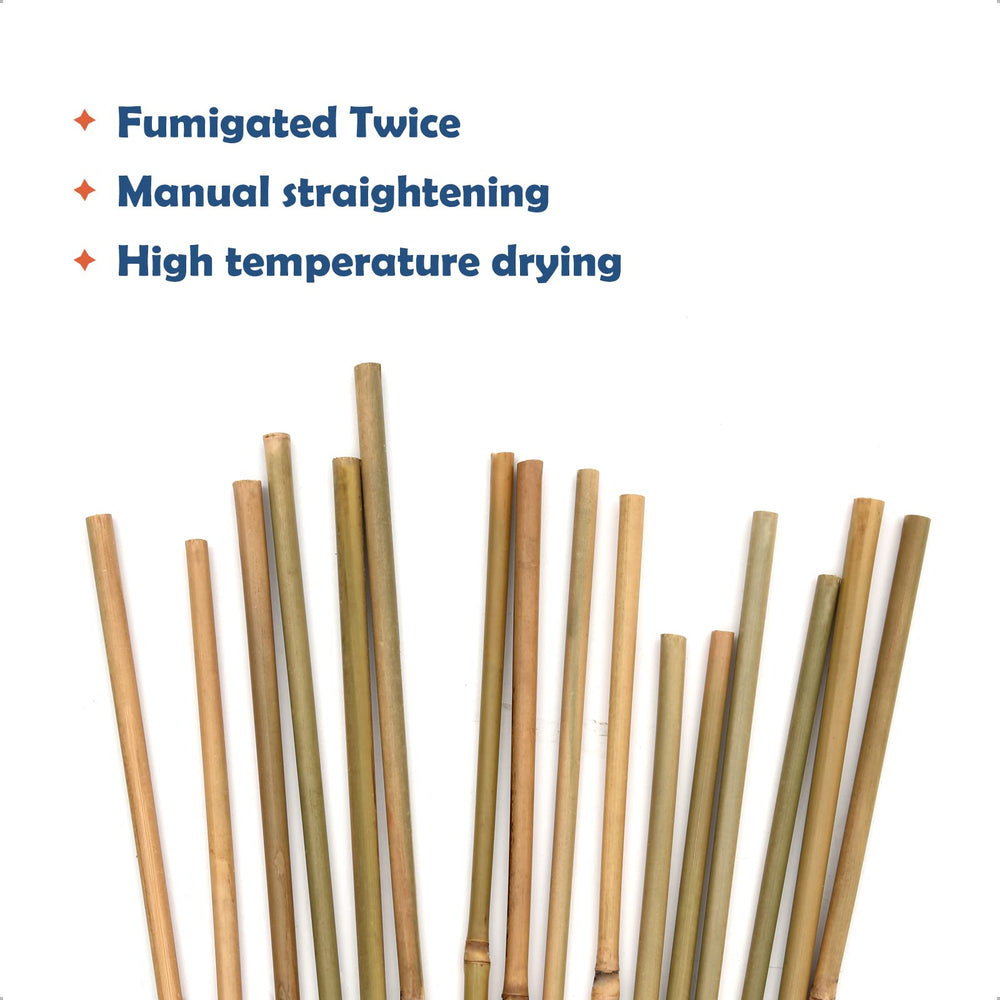 COLOtime stake inserted in garden soil supporting climbing plant, steady plant support