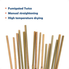 COLOtime stake inserted in garden soil supporting climbing plant, steady plant support