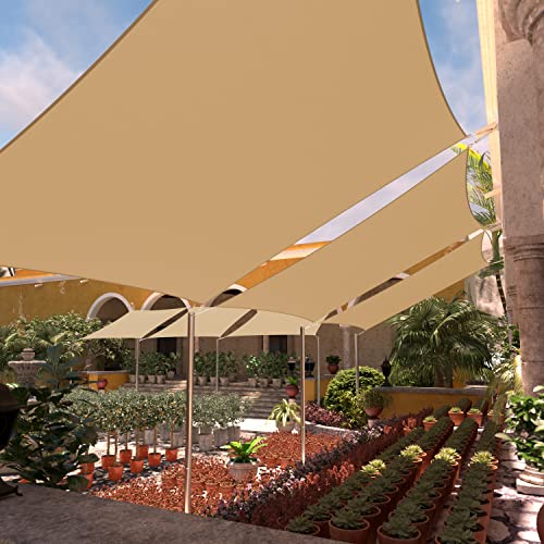 ColourTree evening scene under sail showcasing shaded ambient lighting