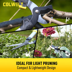 Colwelt close-up carbon steel blade showing low-friction coating for smoother cuts