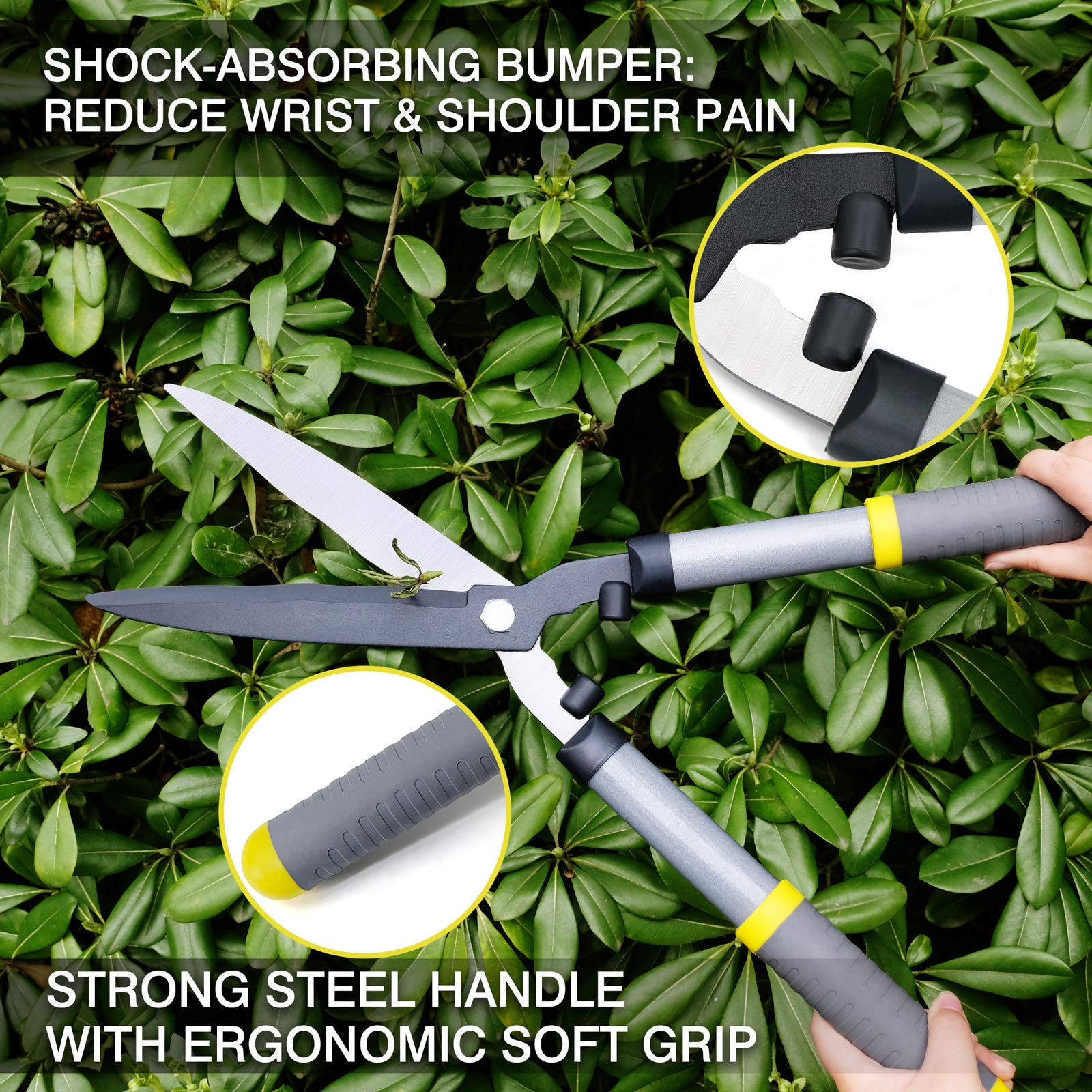 Colwelt shears cutting boxwood hedge showing precise shaping results