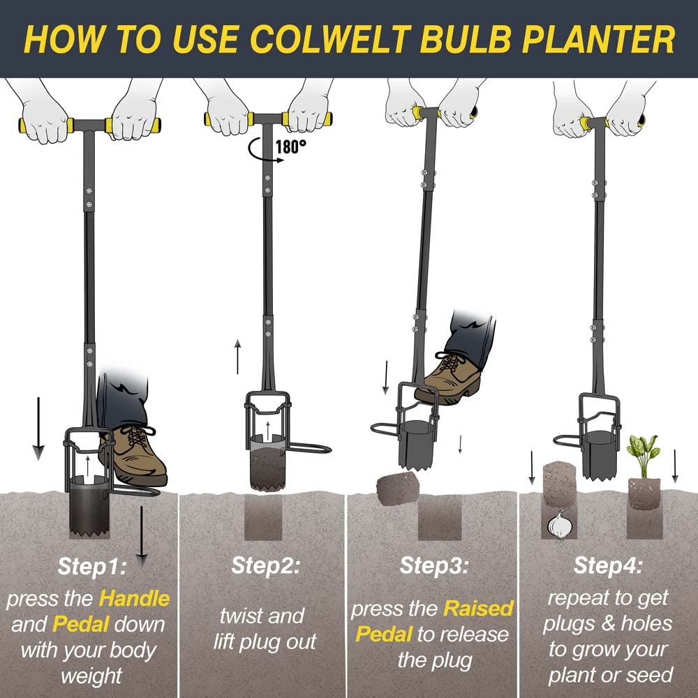 Colwelt planter next to ruler for scale demonstrating 3.5 inch diameter hole size
