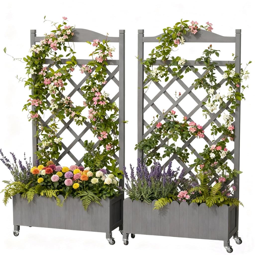 COMHOMA lifestyle shot on balcony illustrating compact garden and curb appeal