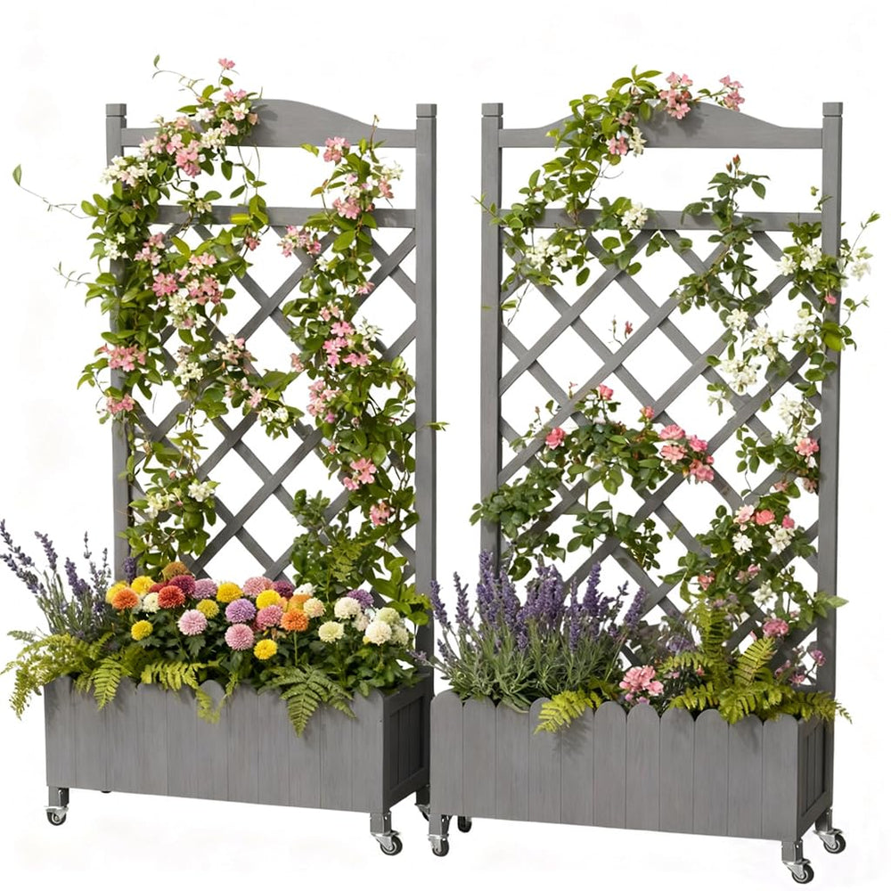 COMHOMA lifestyle shot on balcony illustrating compact garden and curb appeal