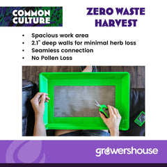 COMMON CULTURE bottom harvest bin with sifted pollen stored for reuse