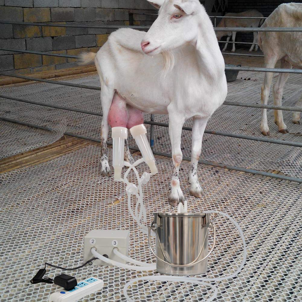 COMSUKI milker in use on farm for faster, hands-free milking